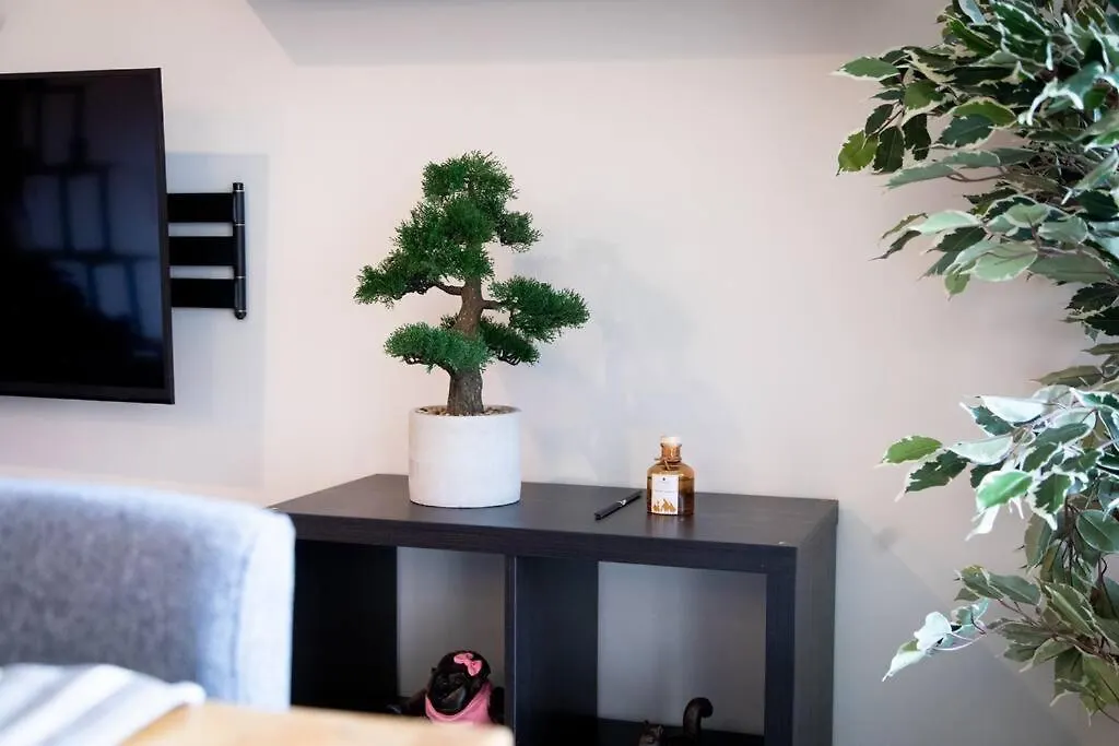 Le Cocon St Cyprien - Centre - Parking - Tramway Apartman Toulouse